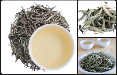Silver Needle (Bai Hao Yin Zhen / ç™½æ¯«é“¶é’ˆ)